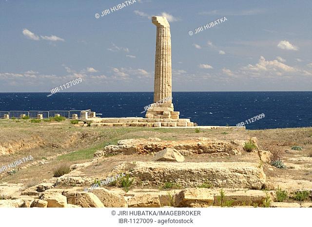Column of the Temple of Hera Lacinia, Capo Colonna, Calabria, Italy, Europe