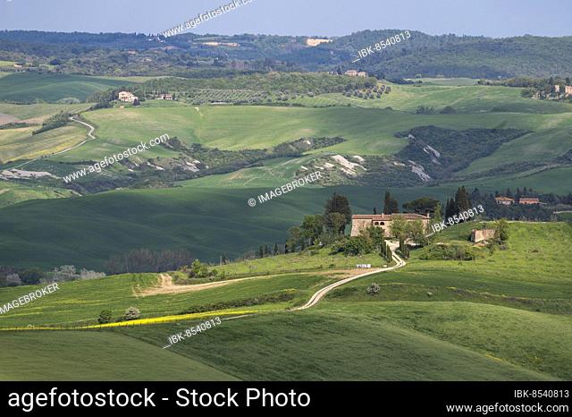 Country estate in the hilly landscape of the Crete Senesi, near Asciano, Tuscany, Italy, Europe