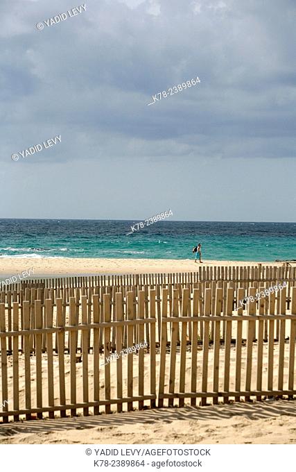 Playa de los Lances beach, Tarifa, Andalucia, Spain