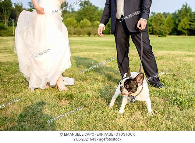 married in the meadow with dog on leash
