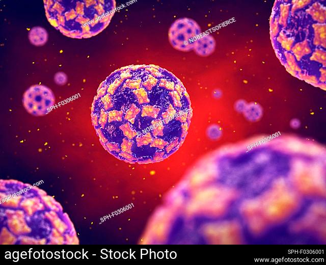Norovirus infection, illustration