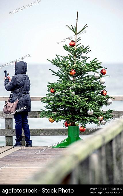 16 December 2023, Mecklenburg-Western Pomerania, Graal-Müritz: A walker takes a photo next to a Christmas tree on the pier of the Baltic seaside resort
