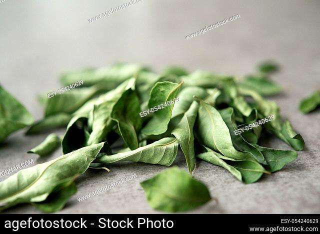 Close up dried curry leaves, Indian spices on grey background