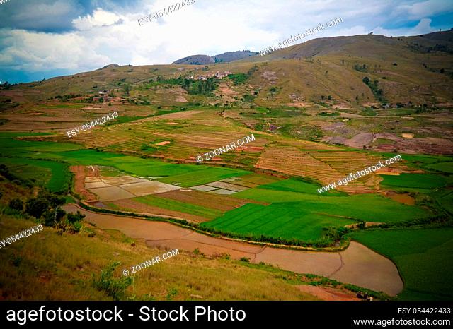 Landscape with the rice fields at Ambalavao Fianarantsoa in Madagascar
