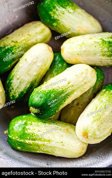 Baby cucumbers with unusual coloring on gray background. Close up