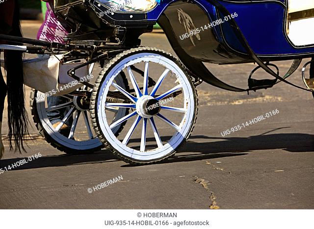 Colourful Horse Cart Wheels