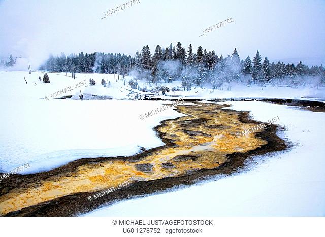Runoff from the Sawmill Geyser produces brilliant colors from bacteria, microorganisms during the winter at Yellowstone National Park, Wyoming