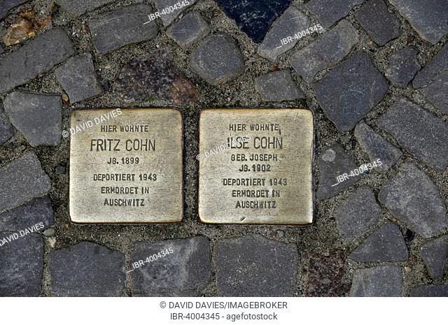 Stolpersteine memorial plaques to deported and murdered Jews, Stralsund, Mecklenburg Vorpommern, Germany