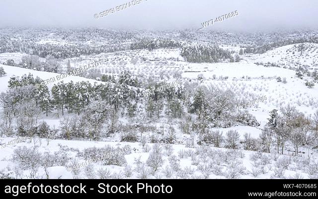 Fruit tree fields and forests near Ulldemolins village during a winter snowfall (Priorat, Tarragona, Catalonia, Spain)
