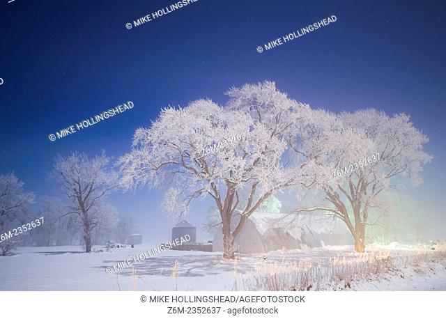 Moon lights frost covered trees in western IA during bitter cold freezing fog in sub-zero F temps