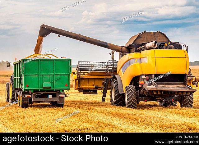 Harvester Combine and Tractor Working on The Large Wheat Field