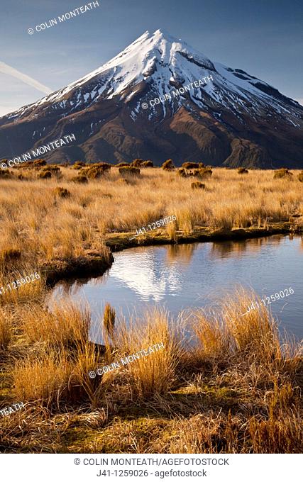 Mt Egmont / Taranaki, dawn reflection in small tarn set among tussock slopes of Pouakai range, Taranaki