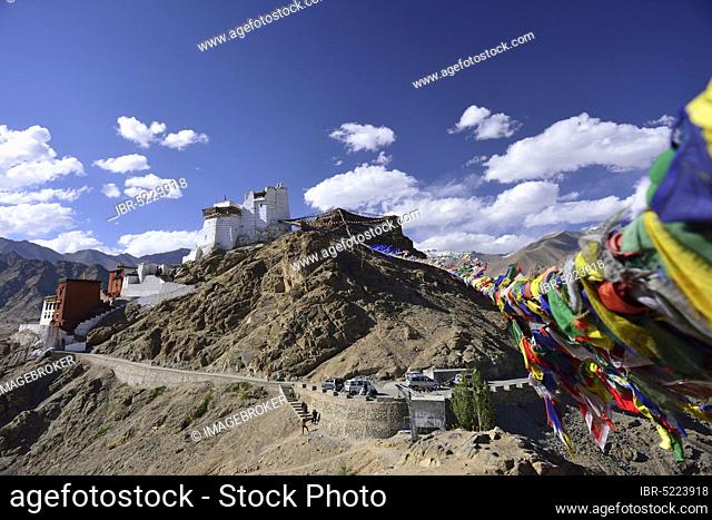 Tsemo Fort and Tsemo Gompa, Leh, Ladakh, Jammu and Kashmir, India, Asia
