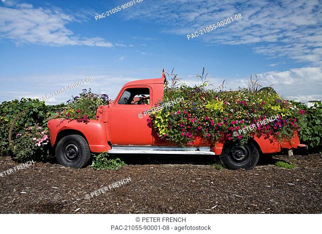 Old Farm Truck Southern Saskatchewan Canada Stock Photo Picture And Rights Managed Image Pic Acx Acp10938 Agefotostock