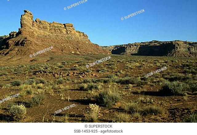 Rock formations on a landscape, Valley Of The Gods, San Juan County, Utah, USA