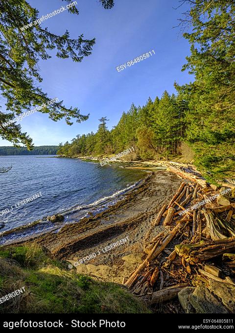 A secluded beach with a jumble of driftwood logs in the scenic Gulf Islands of British Columbia