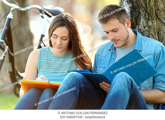 Couple of students studying together outside in a park