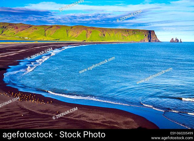 Cape Dyrholaey. Travel to the fabulous island of Iceland. The southern edge of Iceland. Beach with black volcanic ash Reinisfjara