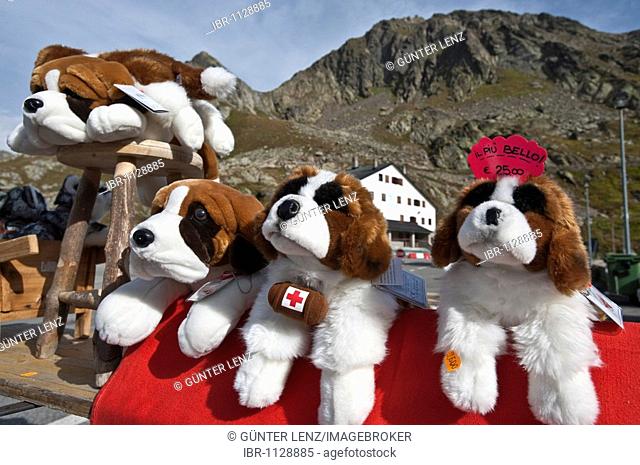 Soft toy St. Bernard dogs, souvenirs, Great St Bernard Pass, Valais, Switzerland