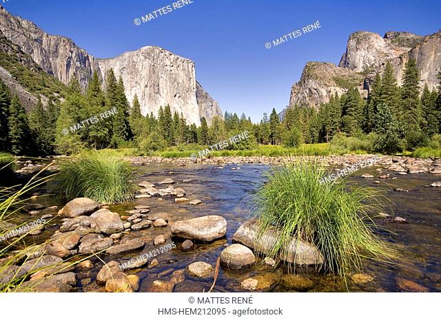 United States, California, Yosemite National Park listed as World Heritage by UNESCO, El Capitan and Merced River