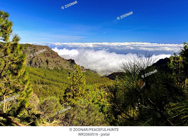View from Teide mountain area