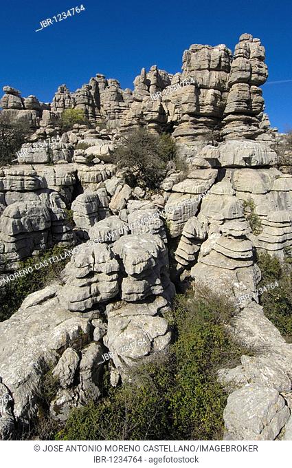 Erosion working on Jurassic limestones, Torcal de Antequera, province of Málaga, Andalusia, Spain, Europe