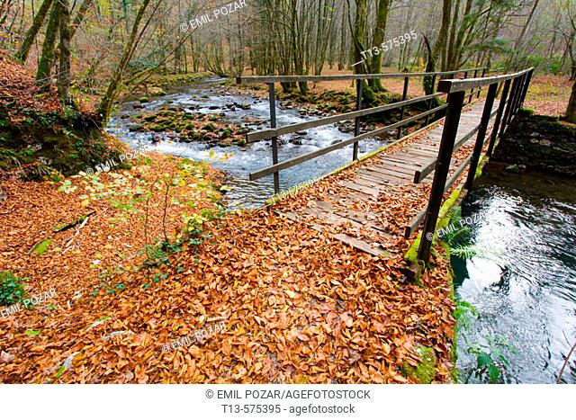 Bridge over small river 'Curak' in Zeleni vir park near town Skrad (Gorski kotar county). Croatia. Autumn
