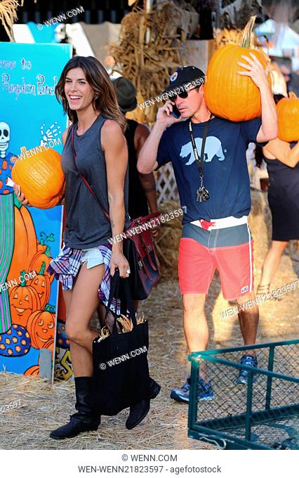 Elisabetta Canalis buys a pumpkin at Mr Bones Pumpkin Patch and carries it to her car. Featuring: Elisabetta Canalis, Brian Perri Where: Los Angeles, California
