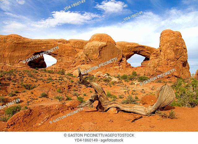 North Window and South Window  Water and ice, extreme temperatures, and underground salt movement are responsible for the scultured rock scenery of Arches...