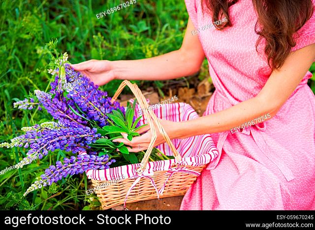 a girl in a beautiful dress sits on a stump in the woods, a bouquet of lupines in a basket. Close-up