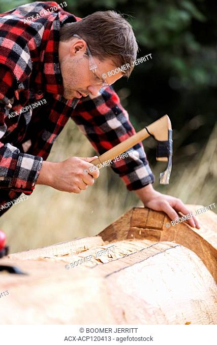 A young first nations carver uses his adze to form out a design element on a totem pole, Comox, The Comox Valley, Vancouver Island, British Columbia, Canada