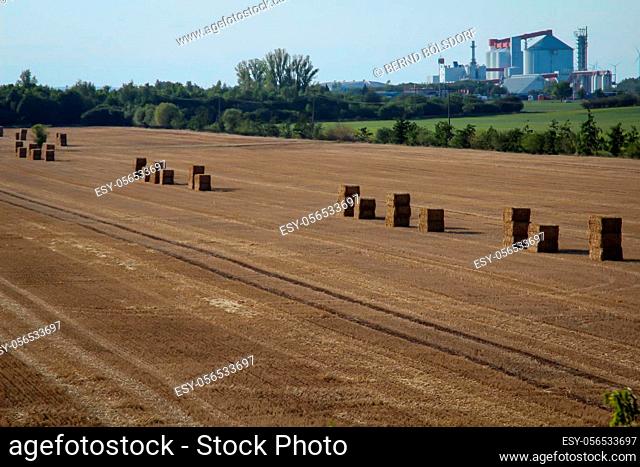 Straw bales are stacked for removal in a field