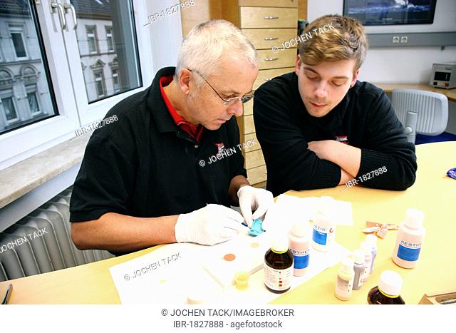 Dental laboratory, manufacture of dental prostheses by a master craftsman, teaching a trainee, individual gingival colouring