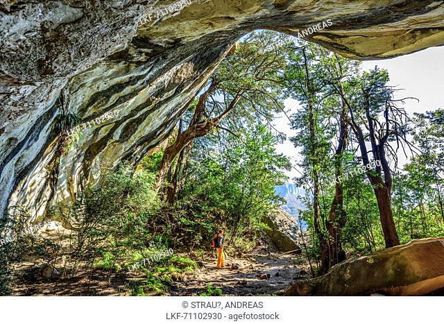 Woman hiking standing in front of big cave, Tugela Valley, Amphitheatre, Royal Natal, Drakensberg, uKhahlamba-Drakensberg Park