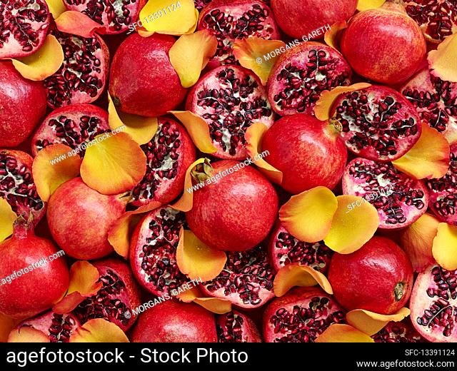 Pomegranates and yellow rose petals (whole image)