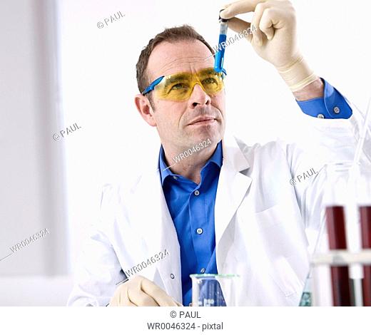 Scientist examining in lab