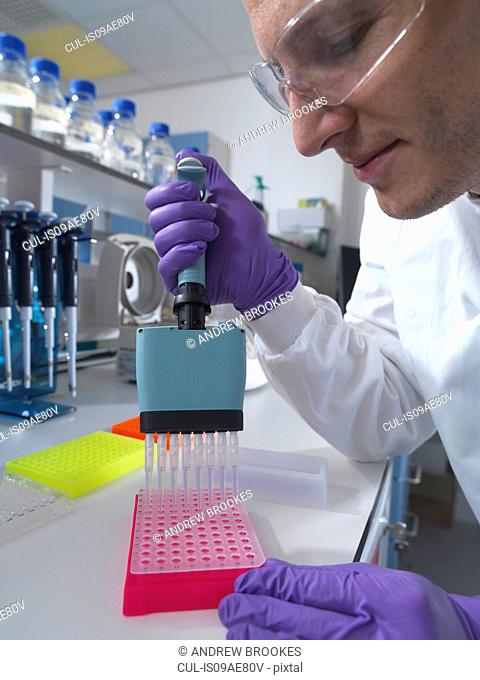 Male researcher using multi pipette in lab