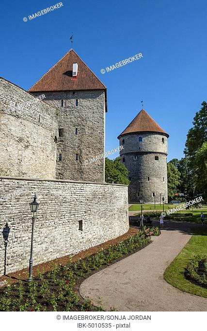 Tower Kiek in de Kök on the cathedral hill and city wall, upper town, old town, Tallinn, Estonia, Europe