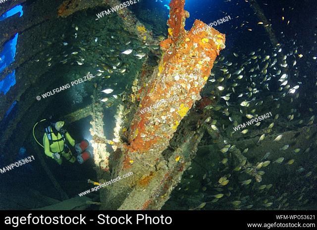 Diver at SS Ulysses Wreck, Strait of Gubal, Red Sea, Egypt