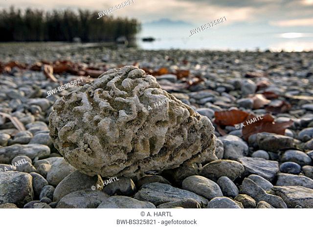 brainstone on the lakefront, Germany, Bavaria, Lake Chiemsee