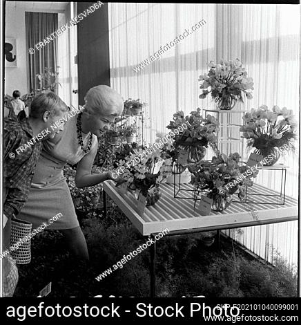***SEPTEMBER 29, 1967 FILE PHOTO***Florist arranges flowers of East Germany, DDR, German Democratic Republic stand during the Czech national flower exhibition...