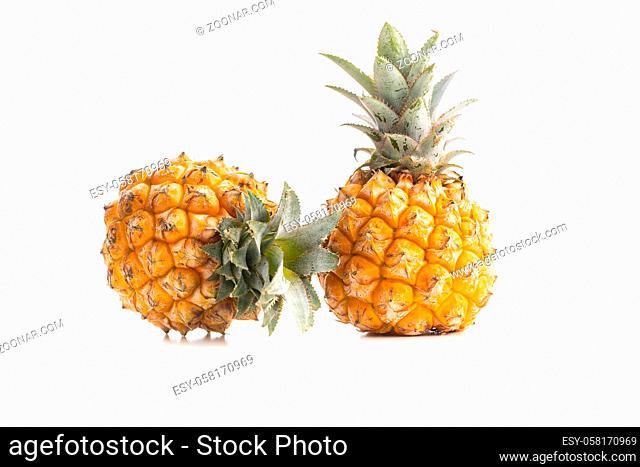 Ripe baby pineapple. Mini pineapple isolated on a white background