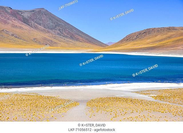 Salt lakes Laguna Miscanti and Miniques, also Laguna Altiplanicas, with volcano Cerro Miscanti and flamingos at the shore, San Pedro de Atacama, Atacama W³ste