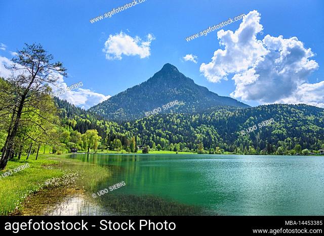 Austria, Tyrol, Kufsteinerland, Thiersee, lakeside against Pendling