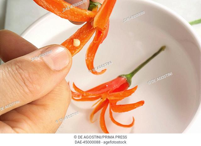 Chilli peppers in the shape of a flower, without seeds. Cut chilli peppers in the shape of a flower step 3