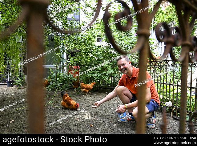 22 August 2023, Berlin: Florist Nicolaus Peters feeds his chickens. He will be taking part in the World Cup of Florists in Manchester for Germany from September...