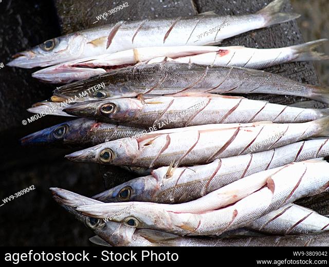 Fish prepared for cooking