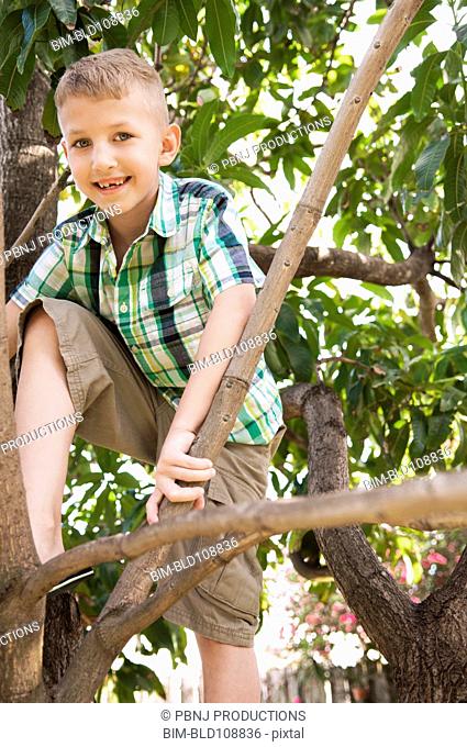 Caucasian boy climbing tree
