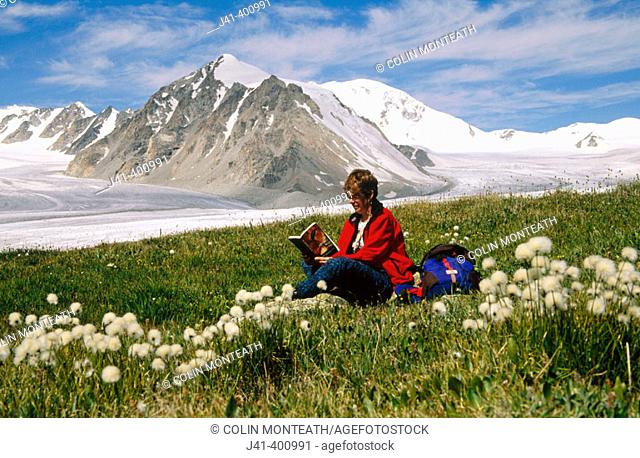 Reading among bog cotton flower-filled terrace beside glacier, Tavan Bogd Uul base camp. Altai mountains, Western Mongolia