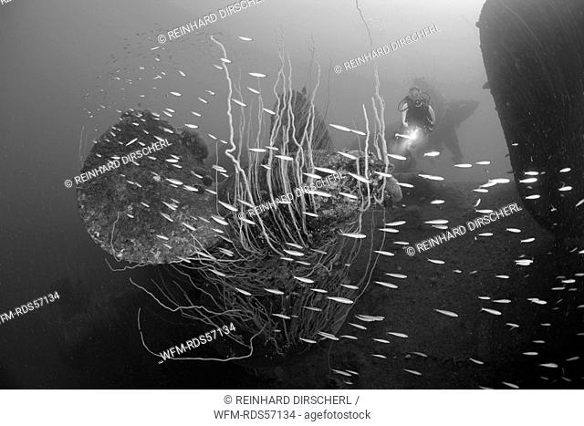 Diver at Propellers of HIJMS Nagato Battleship, Bikini Atoll, Micronesia, Pacific Ocean, Marshall Islands